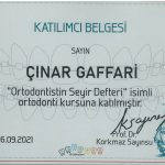 sertifika (13)